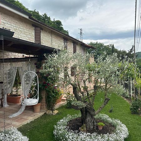 Serra SantʼAbbondio B&B Il Poggetto المظهر الخارجي الصورة