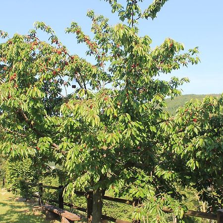 Serra SantʼAbbondio B&B Il Poggetto المظهر الخارجي الصورة