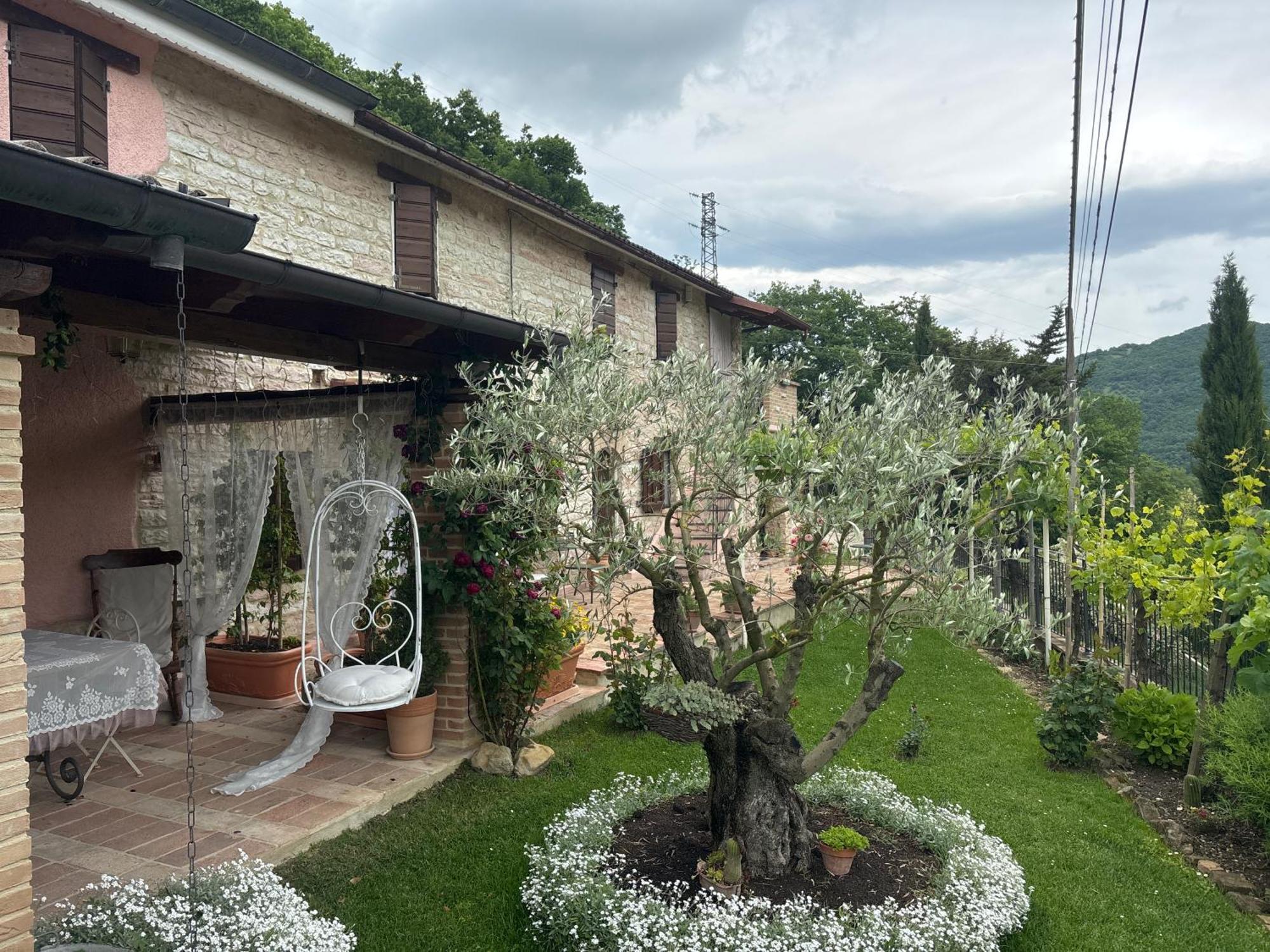 Serra SantʼAbbondio B&B Il Poggetto المظهر الخارجي الصورة