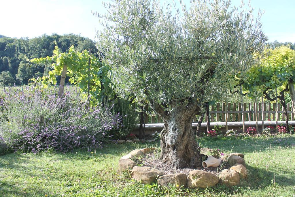 Serra SantʼAbbondio B&B Il Poggetto المظهر الخارجي الصورة